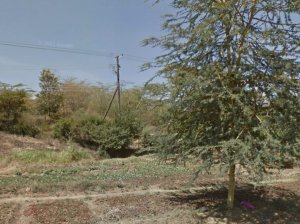 Njiru plots for sale