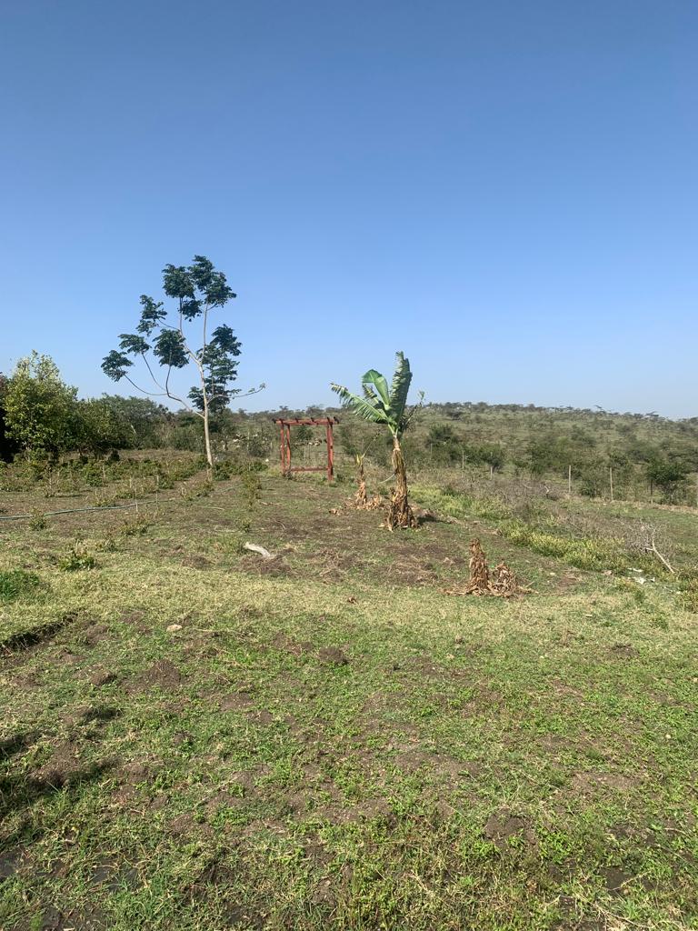 11 acre land for sale in kajiado off kiserian isinya road kcjpc