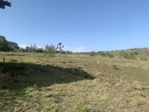 Kiserian Isinya plots for sale