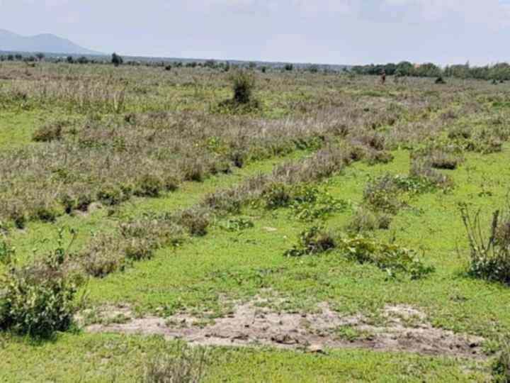 plots in Kajiado