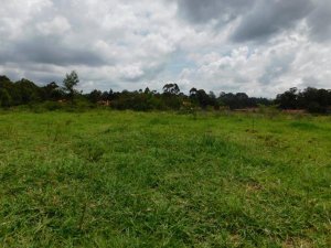 land for lease in Nairobi