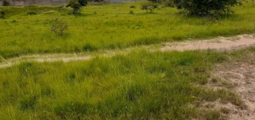 plots for sale along Mombasa Road Nairobi