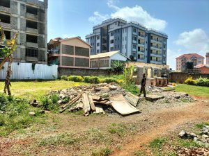 Ruaka plots for sale