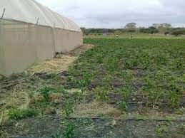 Land for Lease in Kajiado