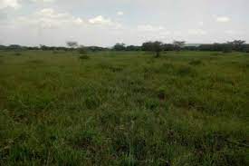 Land for Lease in Kajiado