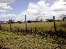 Kiserian Isinya plots for sale