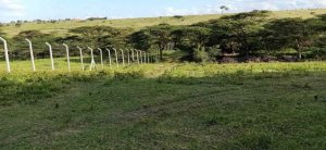 Kiserian Isinya plots for sale