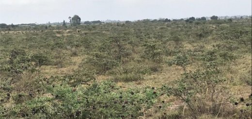 commercial land for lease in Nairobi