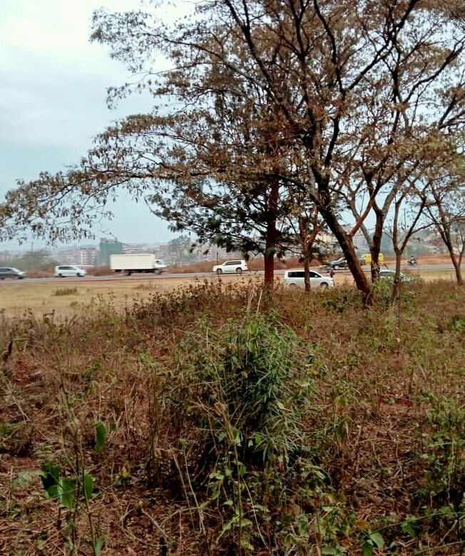 land for sale in marurui northern bypass whq79