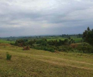 land for sale in tigoni riara ridge iskdc