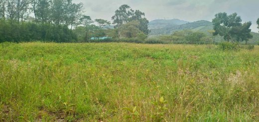 05 acre plot for sale in ngong rewtz