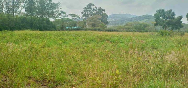 05 acre plot for sale in ngong rewtz