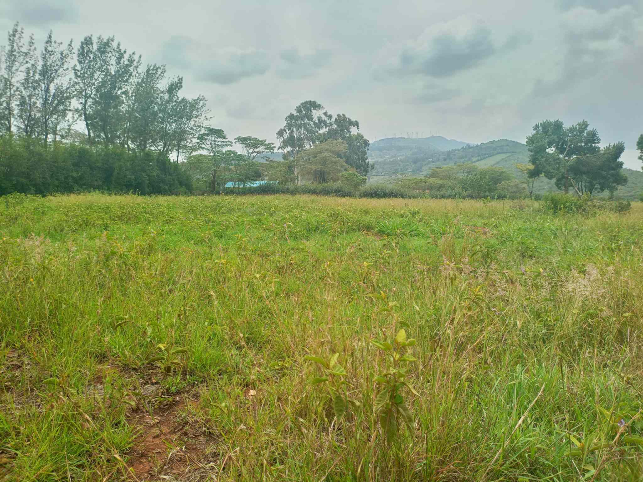 05 acre plot for sale in ngong rewtz