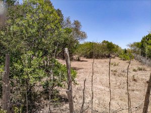 Land for Sale in Mukima Nanyuki