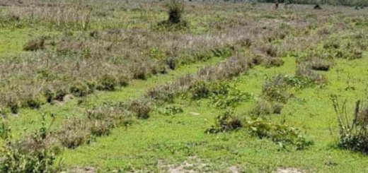 Plots for Sale in Kajiado Town