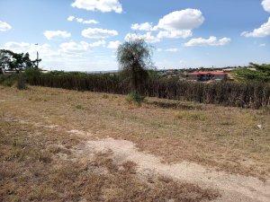 Plots for Sale in Kajiado Town