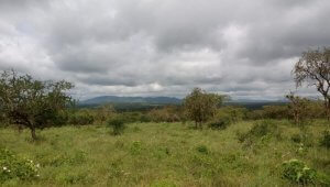 land for sale in Bisil Kajiado