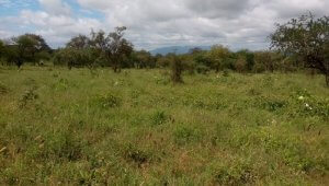 land for sale in Bisil Kajiado