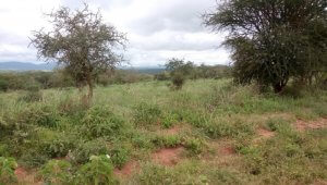 land for sale in Bisil Kajiado