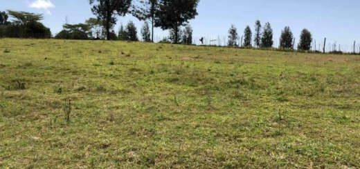 Land for Sale in Nturukuma Nanyuki