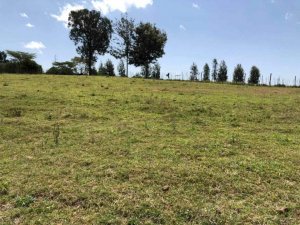 18gad prime plot for sale in nanyuki