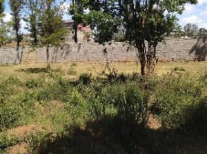 plots for sale in Kabiria Nairobi