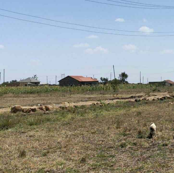 20 acres of land for sale in juja 1obqm