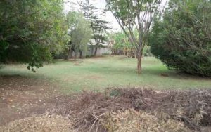 Land for Sale in Nyari Nairobi