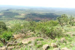 Nanyuki Plots for Sale