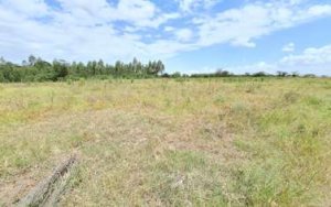 Land for Sale in Kisima Meru