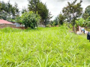 Land for Sale in Kiminini Kitale