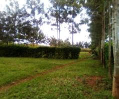 Land for Sale in Kiminini Kitale