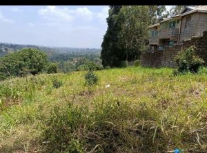 Plots for Sale in Kikuyu Kidfarmaco