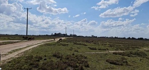 Namanga Land for Sale