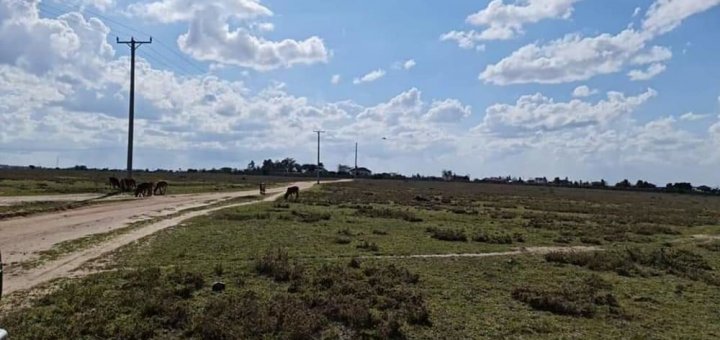 Namanga Land for Sale