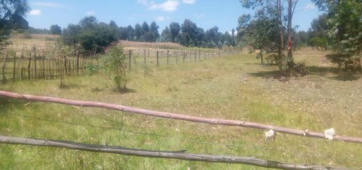 Land for Sale in Bungoma