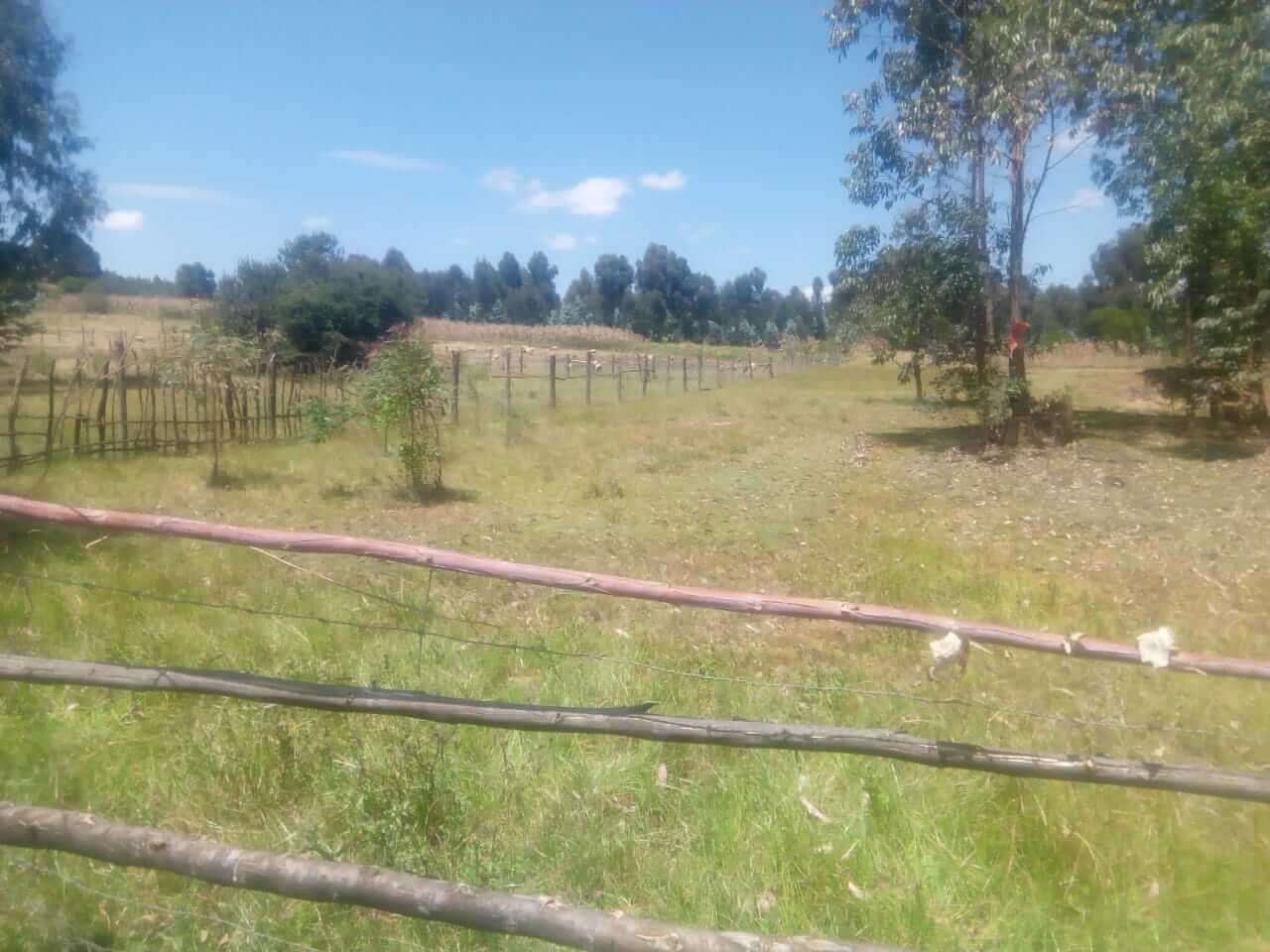 Land for Sale in Bungoma