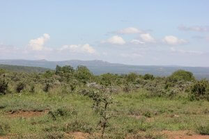 Nanyuki Plots for Sale