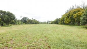 Kilifi Land for Sale