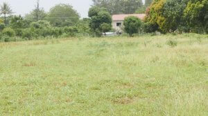 Kilifi Land for Sale