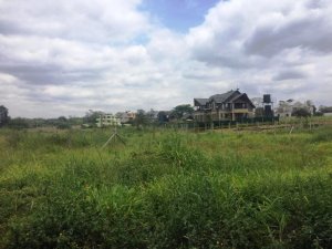 QUATER ACRE FOR SALE HARDROCK ESTATE KENYATTA ROAD JUJA