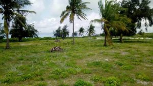 Beach Plots for Sale in Malindi