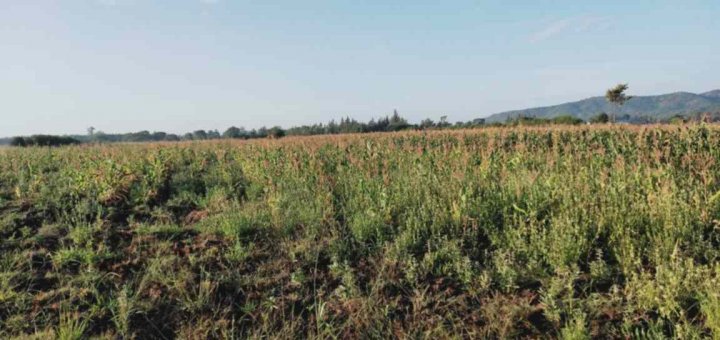 b6tdt land for sale in kirinyaga county mwea sub county