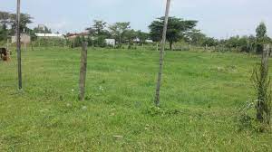 Plots for Sale in Kisumu