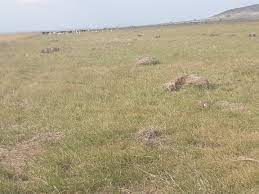 Land for Sale in Narok