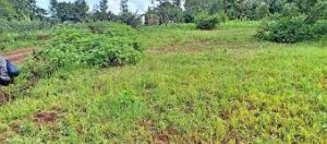 Land for Sale in Mitunguu Meru