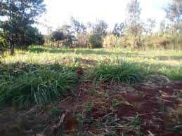 Land for Sale in Gachoka Embu