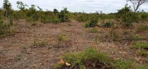 Land for Sale in Mbeere Embu