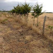 Land for Sale in Sweetwater Nanyuki