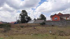 Prime Plots in Kitengela